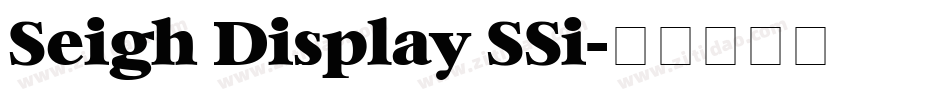 Seigh Display SSi字体转换